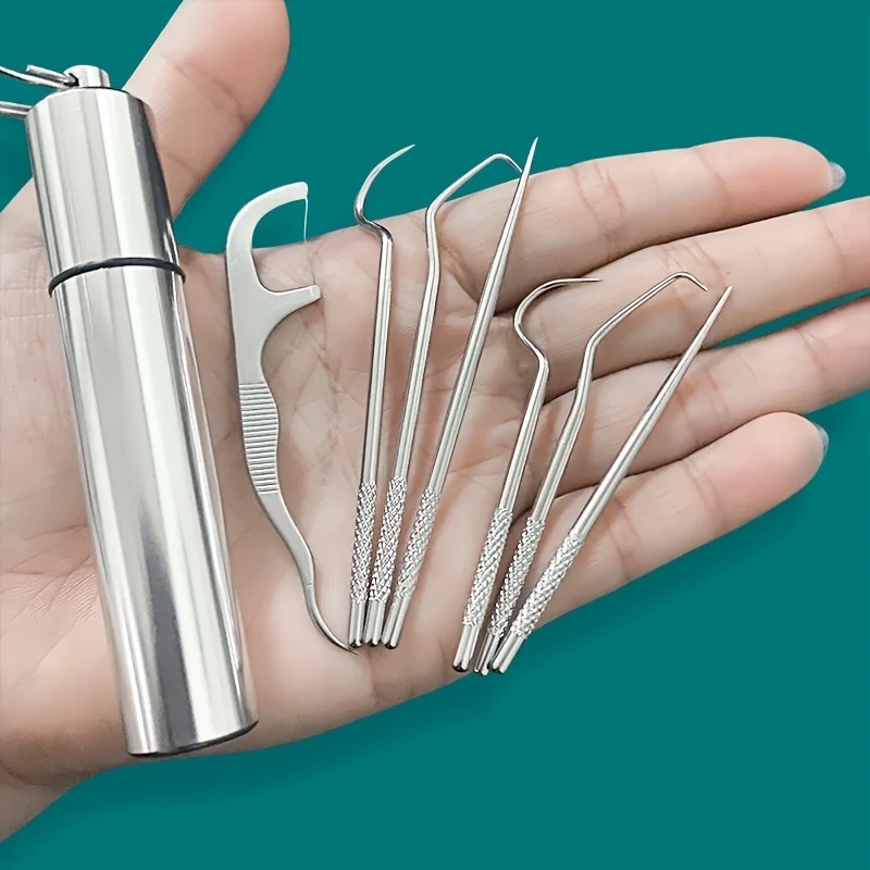 Portable Stainless Steel Toothpick Set | Reusable Dental Cleaning Kit