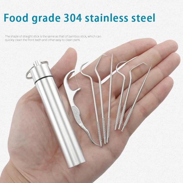 Portable Stainless Steel Toothpick Set | Reusable Dental Cleaning Kit