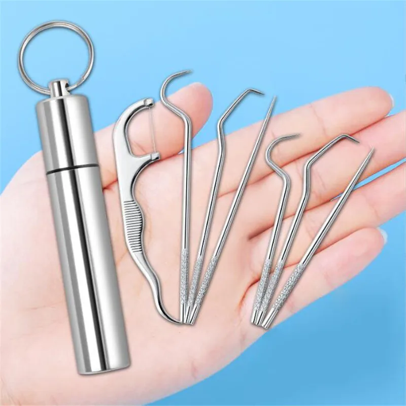 Portable Stainless Steel Toothpick Set | Reusable Dental Cleaning Kit