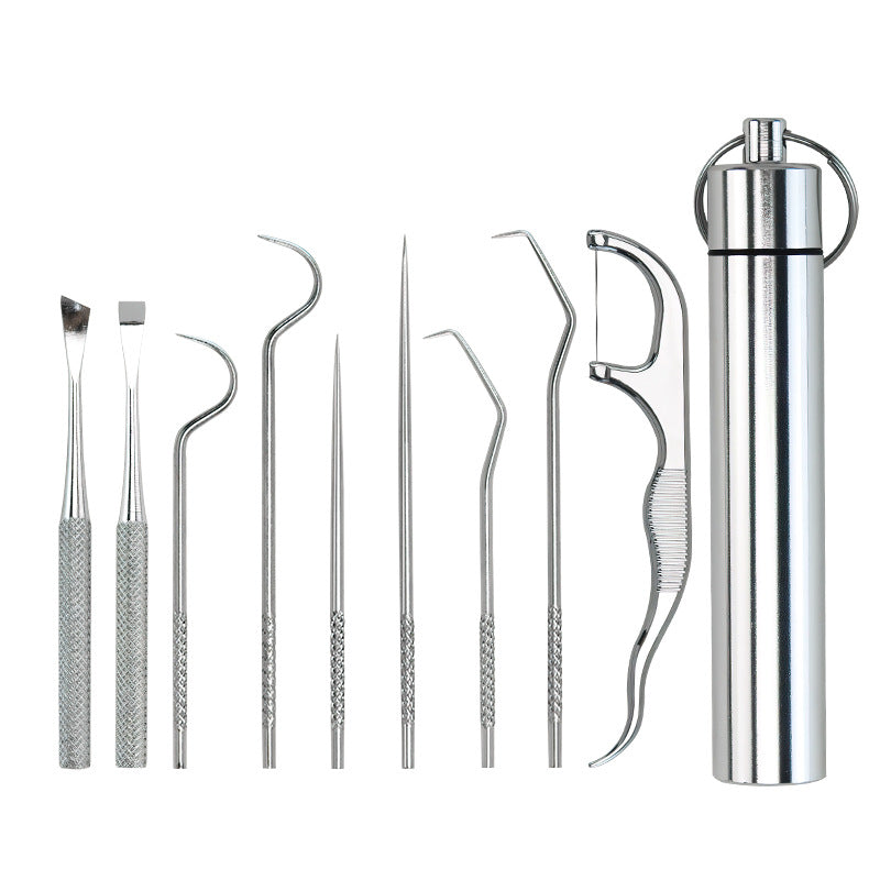 Portable Stainless Steel Toothpick Set | Reusable Dental Cleaning Kit