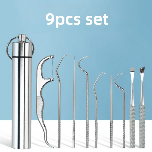 Portable Stainless Steel Toothpick Set | Reusable Dental Cleaning Kit